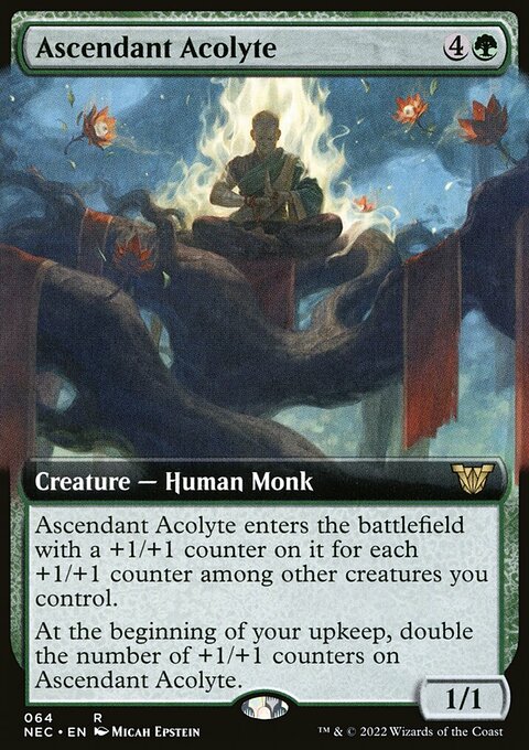 Ascendant Acolyte, Neon Dynasty Commander #64, Magic: The Gathering card