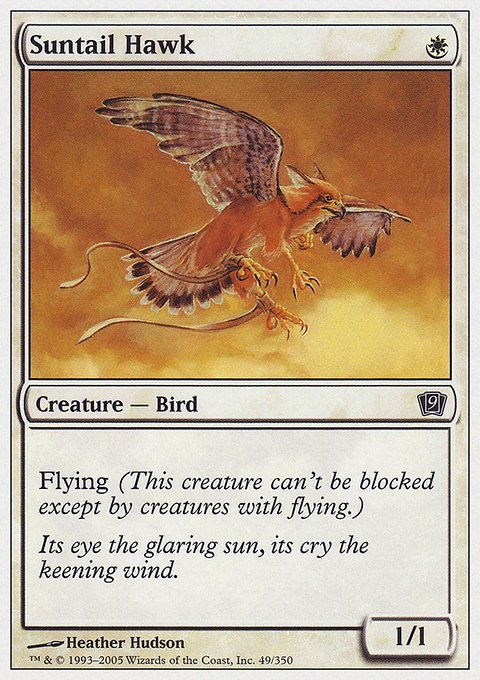 Suntail Hawk, Ninth Edition #49, Magic: The Gathering card