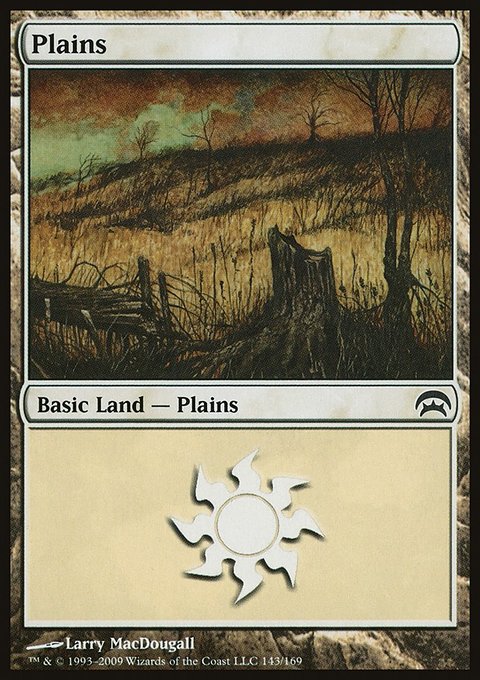 Plains, Planechase #143, Magic: The Gathering card