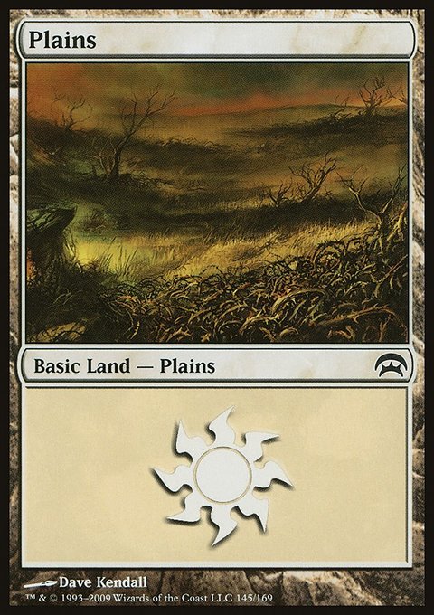 Plains, Planechase #145, Magic: The Gathering card