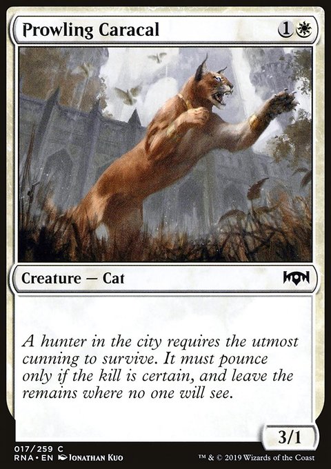 Prowling Caracal, Ravnica Allegiance #17, Magic: The Gathering card