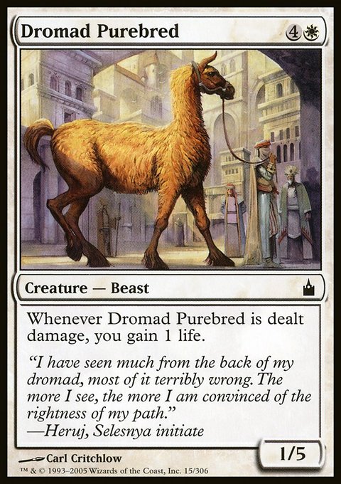 Dromad Purebred, Ravnica: City of Guilds #15, Magic: The Gathering card