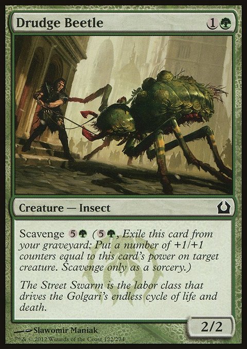 Drudge Beetle, Return to Ravnica #122, Magic: The Gathering card