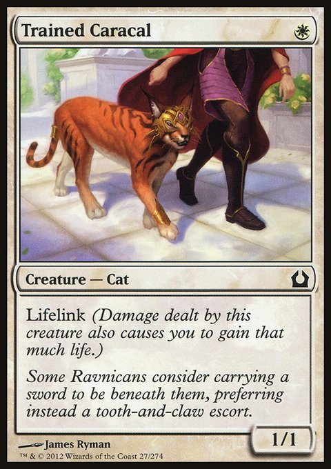Trained Caracal, Return to Ravnica #27, Magic: The Gathering card