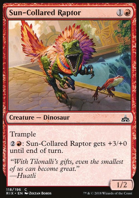 Sun-Collared Raptor, Rivals of Ixalan #118, Magic: The Gathering card