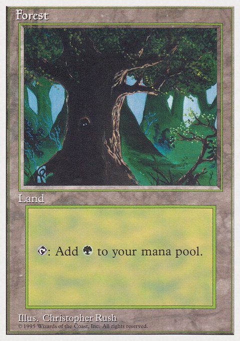 Forest, Rivals Quick Start Set #65, Magic: The Gathering card