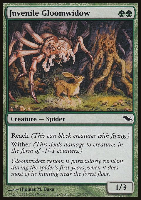 Juvenile Gloomwidow, Shadowmoor #121, Magic: The Gathering card
