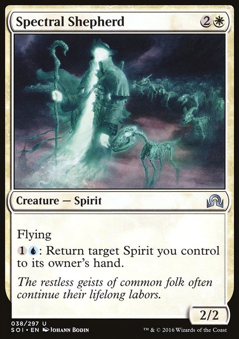 Spectral Shepherd, Shadows over Innistrad #38, Magic: The Gathering card