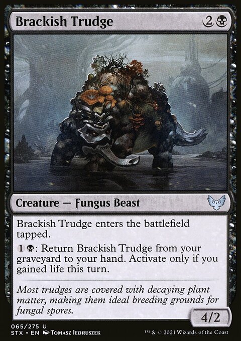 Brackish Trudge, Strixhaven: School of Mages #65, Magic: The Gathering card