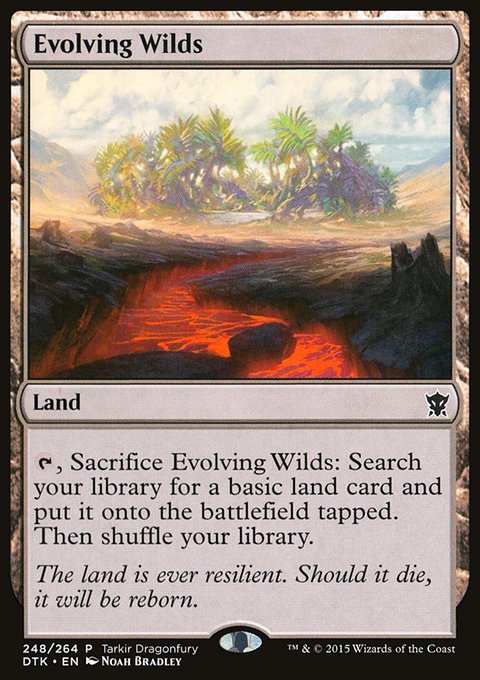Evolving Wilds, Tarkir Dragonfury #248, Magic: The Gathering card