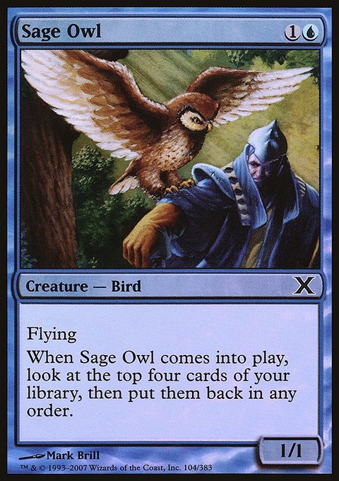 Sage Owl, Tenth Edition #104★, Magic: The Gathering card