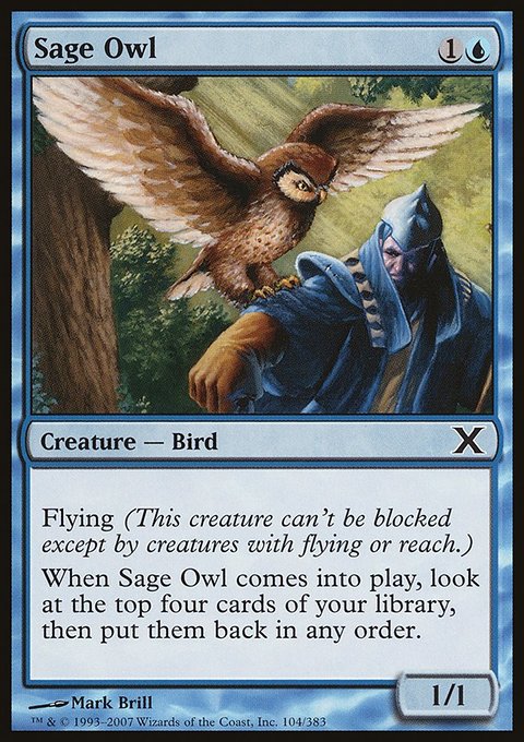 Sage Owl, Tenth Edition #104, Magic: The Gathering card