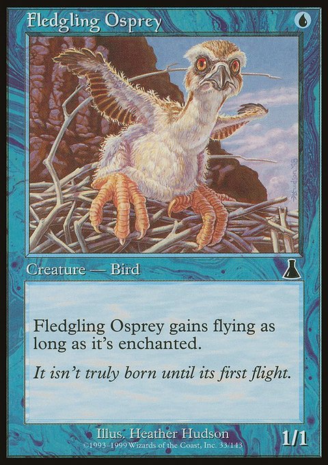 Fledgling Osprey, Urza's Destiny #33, Magic: The Gathering card