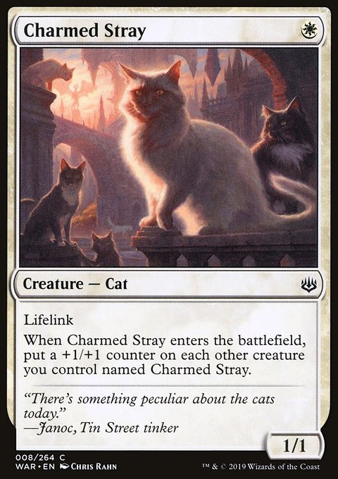 Charmed Stray, War of the Spark #8, Magic: The Gathering card
