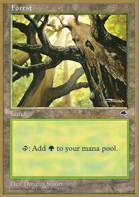 Forest, World Championship Decks 1998 #bs347, Magic: The Gathering card