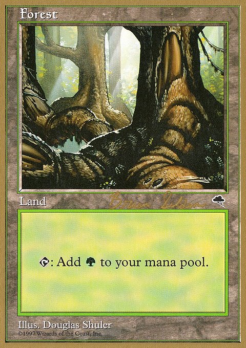 Forest, World Championship Decks 1998 #bs348, Magic: The Gathering card