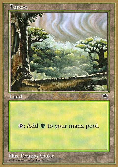 Forest, World Championship Decks 1998 #bs349, Magic: The Gathering card