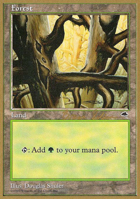 Forest, World Championship Decks 1998 #bs350, Magic: The Gathering card