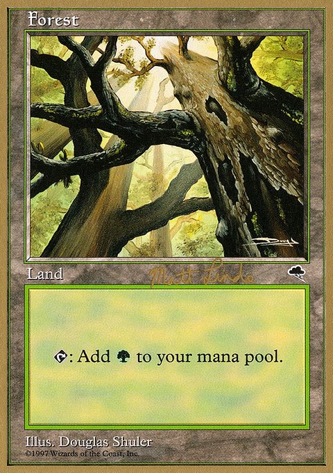 Forest, World Championship Decks 1999 #ml347a, Magic: The Gathering card