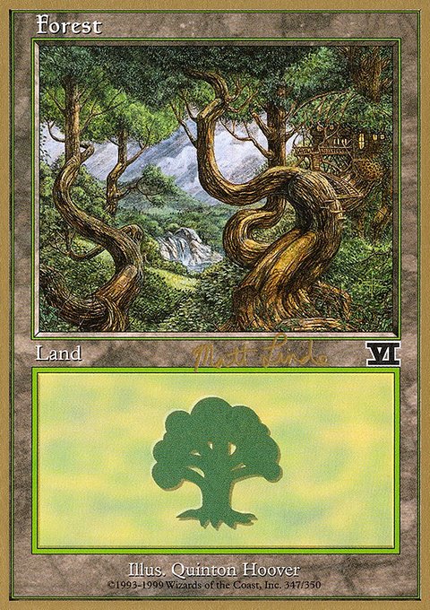 Forest, World Championship Decks 1999 #ml347b, Magic: The Gathering card
