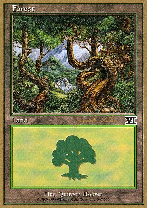 Forest, World Championship Decks 2000 #jk347, Magic: The Gathering card