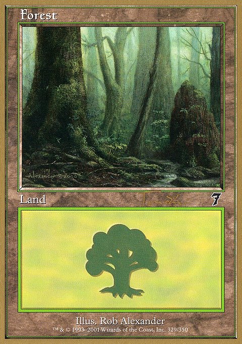 Forest, World Championship Decks 2001 #jt329, Magic: The Gathering card