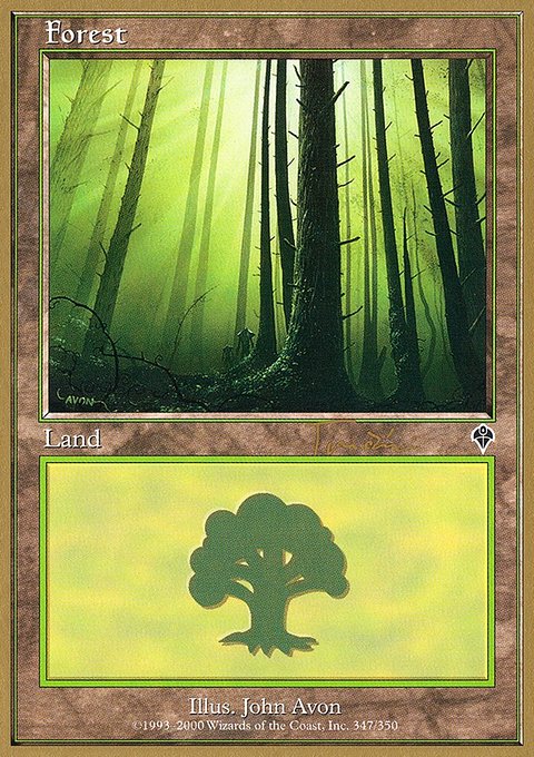 Forest, World Championship Decks 2001 #jt347, Magic: The Gathering card