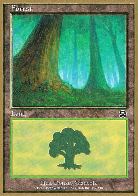 Forest, World Championship Decks 2001 #jt347a, Magic: The Gathering card