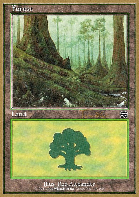 Forest, World Championship Decks 2001 #jt348, Magic: The Gathering card