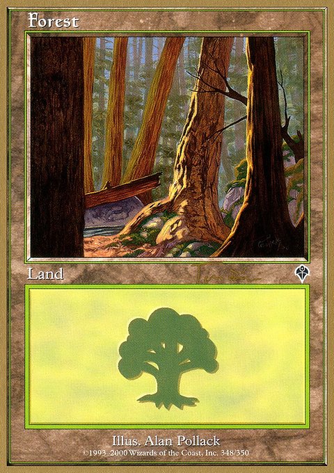 Forest, World Championship Decks 2001 #jt348a, Magic: The Gathering card