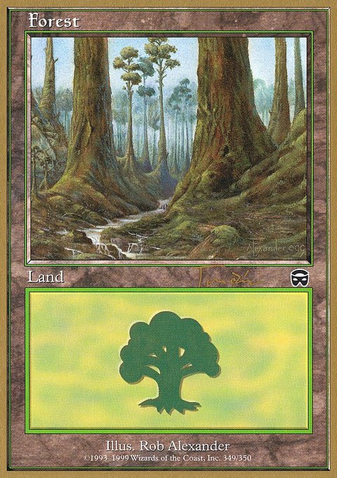 Forest, World Championship Decks 2001 #jt349, Magic: The Gathering card