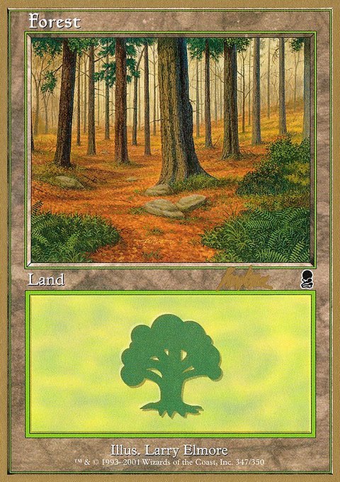 Forest, World Championship Decks 2002 #bk347, Magic: The Gathering card