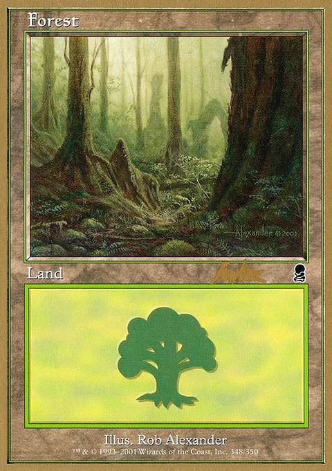 Forest, World Championship Decks 2002 #bk348, Magic: The Gathering card