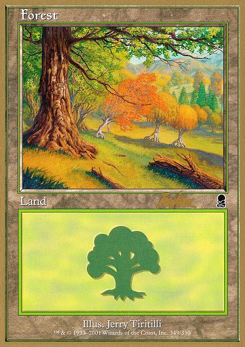 Forest, World Championship Decks 2002 #bk349, Magic: The Gathering card