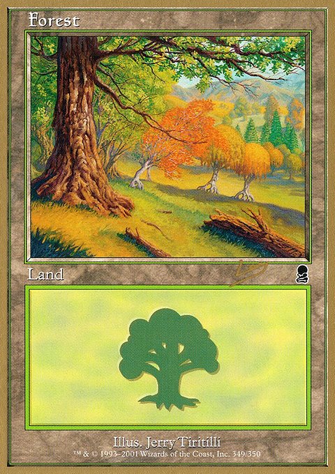 Forest, World Championship Decks 2002 #rl349, Magic: The Gathering card