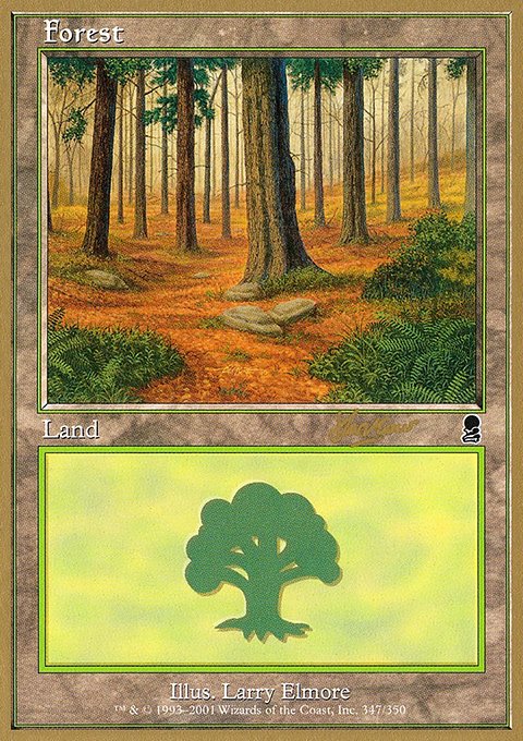 Forest, World Championship Decks 2002 #shh347, Magic: The Gathering card