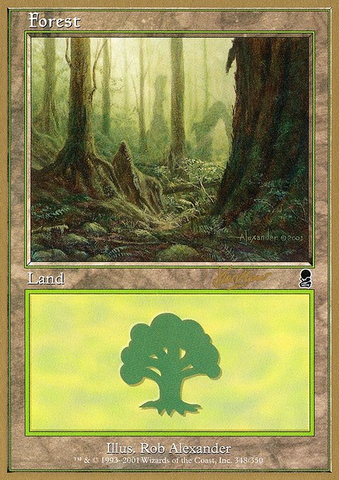 Forest, World Championship Decks 2002 #shh348, Magic: The Gathering card