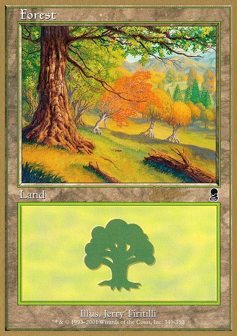 Forest, World Championship Decks 2002 #shh349, Magic: The Gathering card