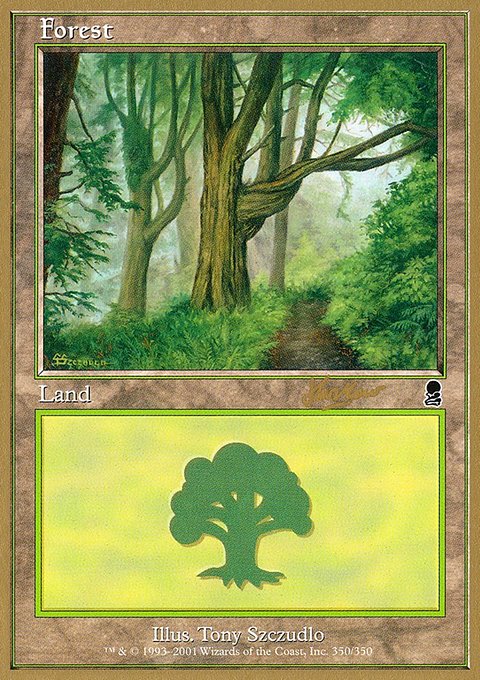 Forest, World Championship Decks 2002 #shh350, Magic: The Gathering card