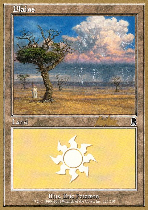 Plains, World Championship Decks 2002 #bk333, Magic: The Gathering card