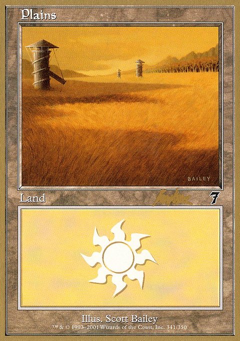 Plains, World Championship Decks 2002 #bk341, Magic: The Gathering card