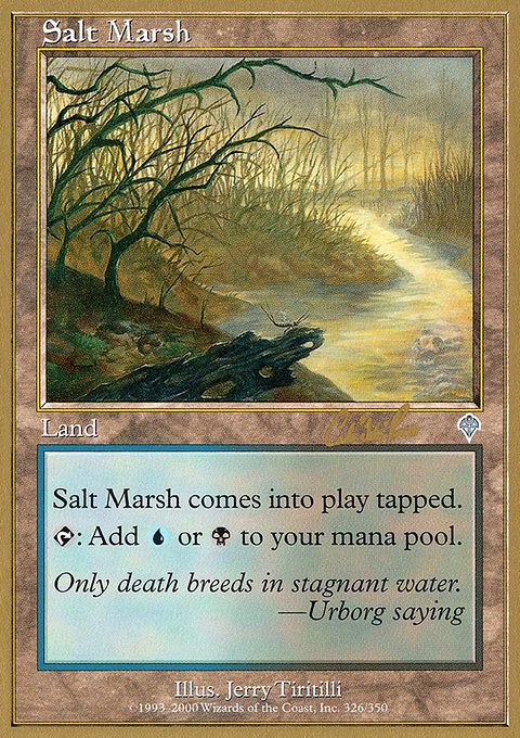 Salt Marsh, World Championship Decks 2002 #cr326, Magic: The Gathering card