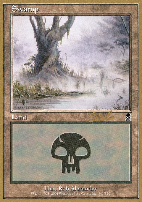 Swamp, World Championship Decks 2002 #cr341, Magic: The Gathering card