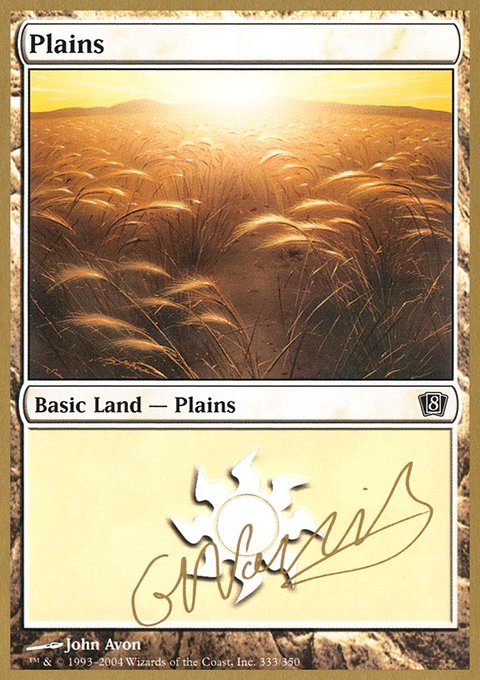 Plains, World Championship Decks 2004 #gn333, Magic: The Gathering card