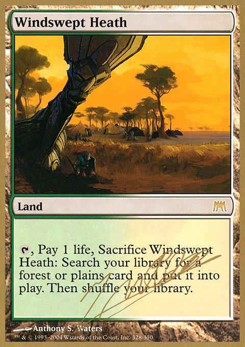 Windswept Heath, World Championship Decks 2004 #jn328, Magic: The Gathering card