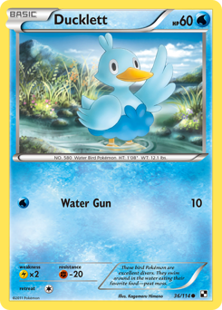 Ducklett, Black & White #36, Pokémon TCG card