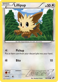 Lillipup, Black & White #80, Pokémon TCG card