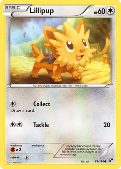 Lillipup, Black & White #81, Pokémon TCG card