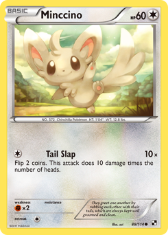 Minccino, Black & White #88, Pokémon TCG card