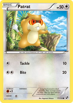 Patrat, Black & White #77, Pokémon TCG card